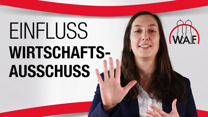 Welche Einflussmöglichkeiten hat der Wirtschaftsausschuss?