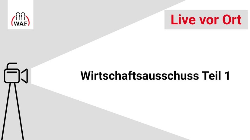 Wirtschaftsausschuss Teil 1