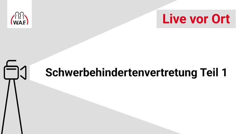 Schwerbehindertenvertretung Teil 1