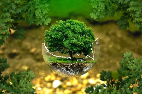 Glaskugel vor grünem Baum - wie kann Nachhaltigkeit im Unternehmen umgesetzt werden